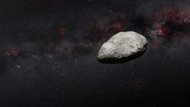 Webb detects extremely small main-belt asteroid