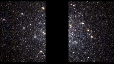 Webb Telescope observes a globular cluster sparkling with separate stars