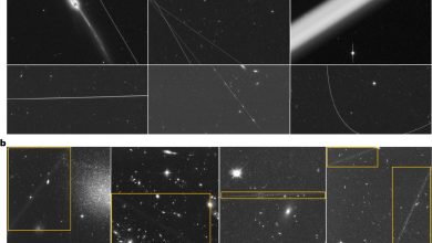 Problem of satellite trails marring Hubble images is growing worse