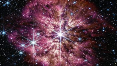 Webb captures rarely seen prelude to a supernova