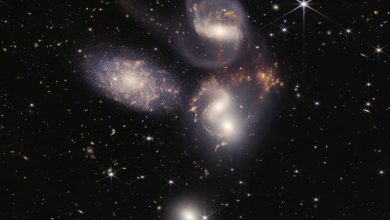 Looking for potential radio technosignatures from extragalactic sources