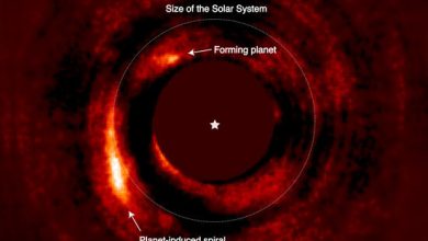 Researchers confirm a new forming planet