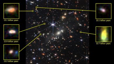 James Webb's 'too massive' galaxies may be even more massive