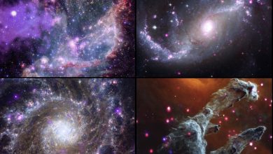 NASA's Chandra, Webb telescopes combine for arresting views