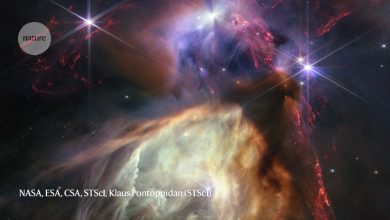 Stunning star nursery is latest JWST image to amaze astronomers